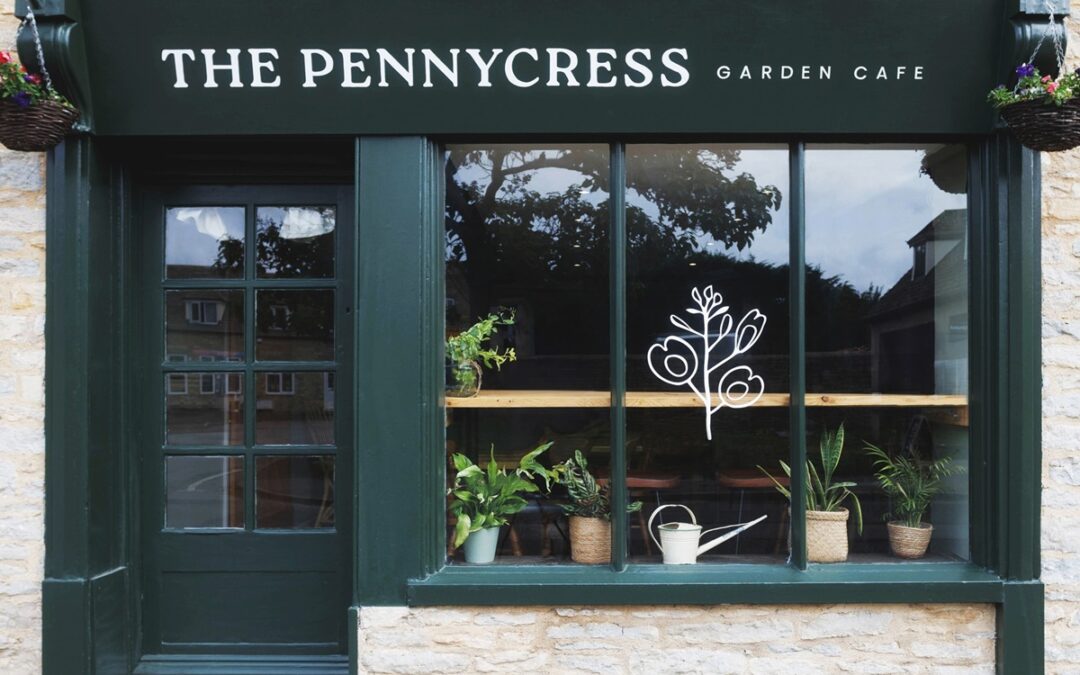 The Pennycress